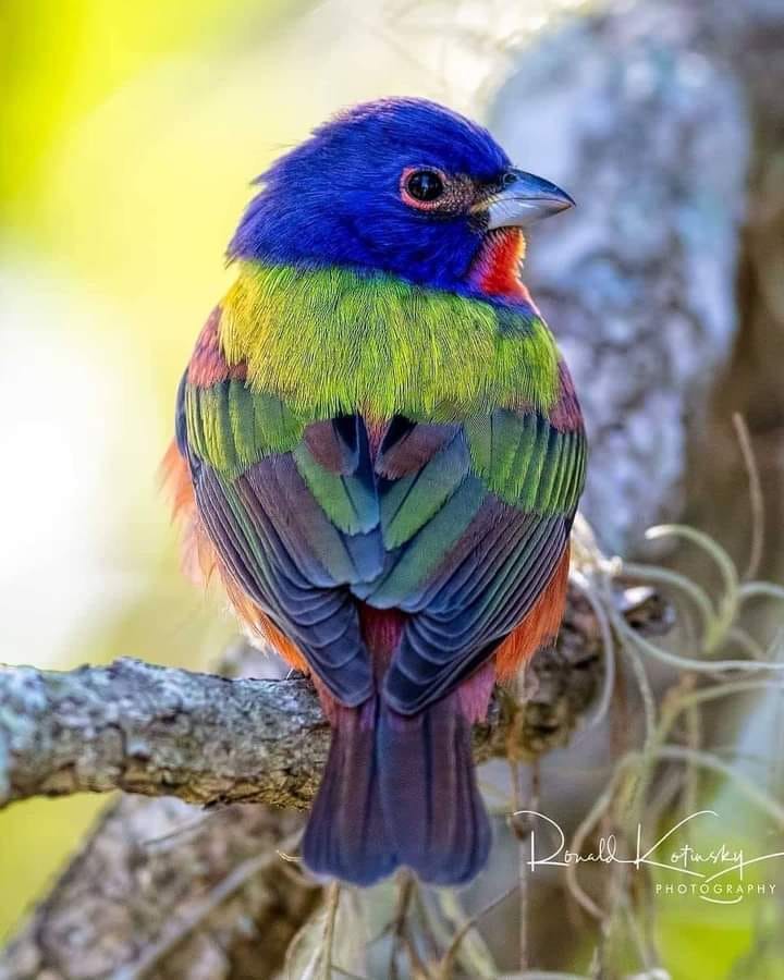 160242347_2753007561618097_3685565748641609229_n