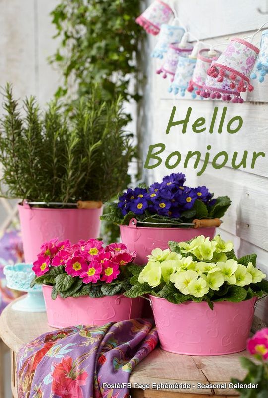 160335245_4042466192470113_6062218756456503722_n