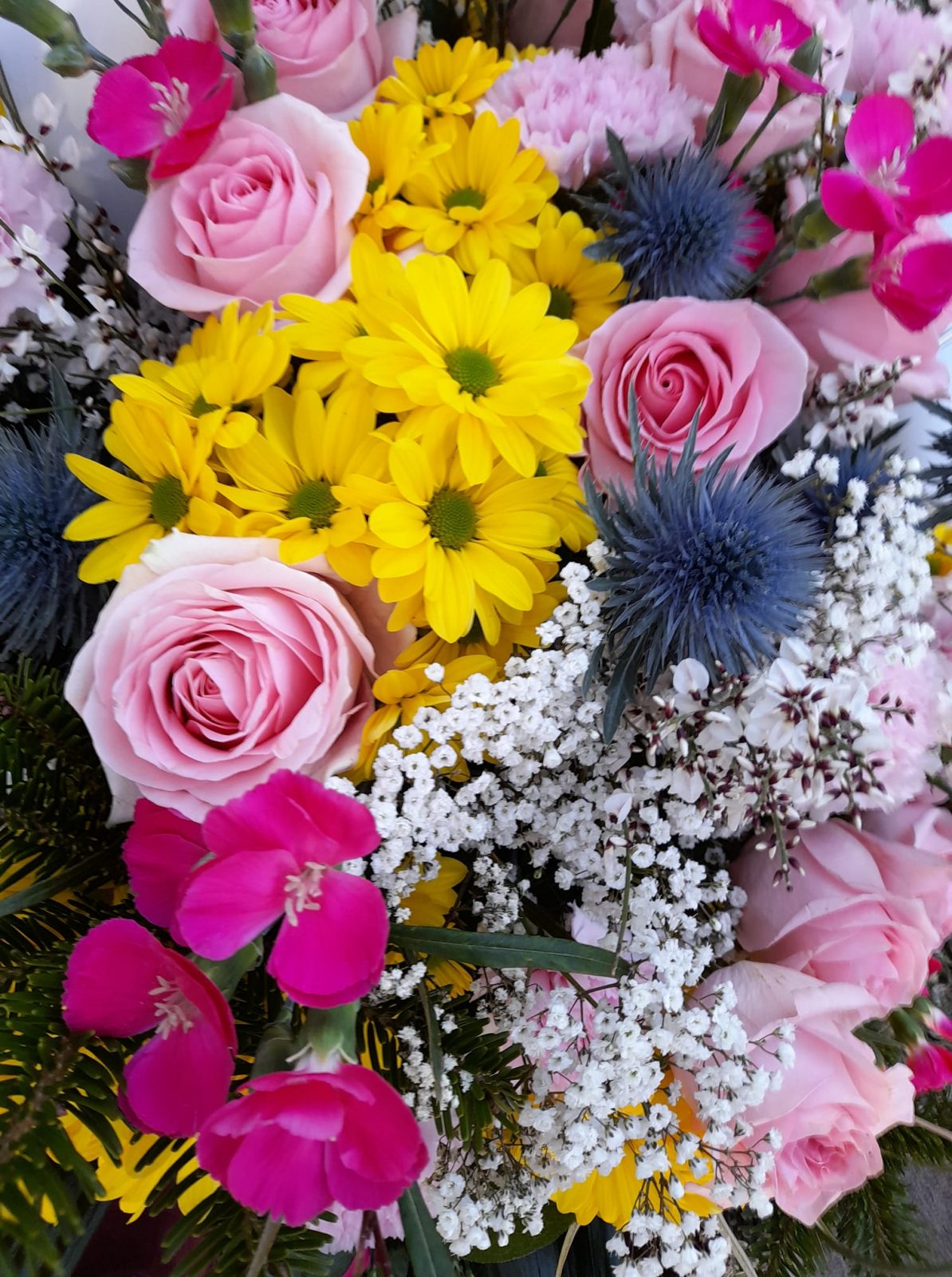 160375599_113818087398539_4440349628793150017_o (1)