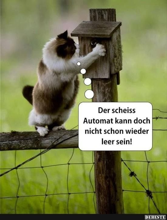 160436570_171183958124000_4291566100336679959_n