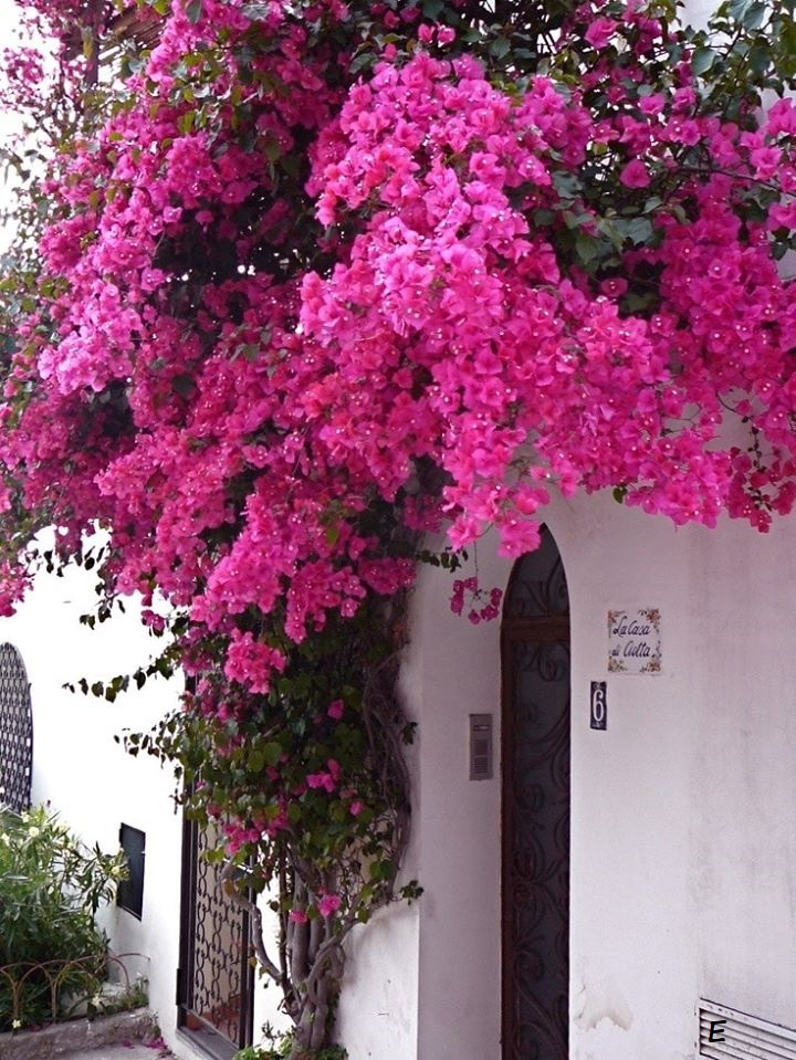 160486522_5302685976471962_3121657820263256707_n