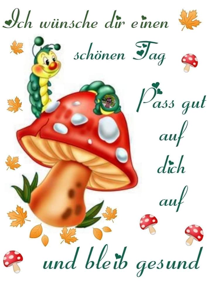 160998239_982211792518873_3016488007000683349_n