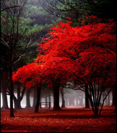 161178297_430905421546046_3952377382459419880_n