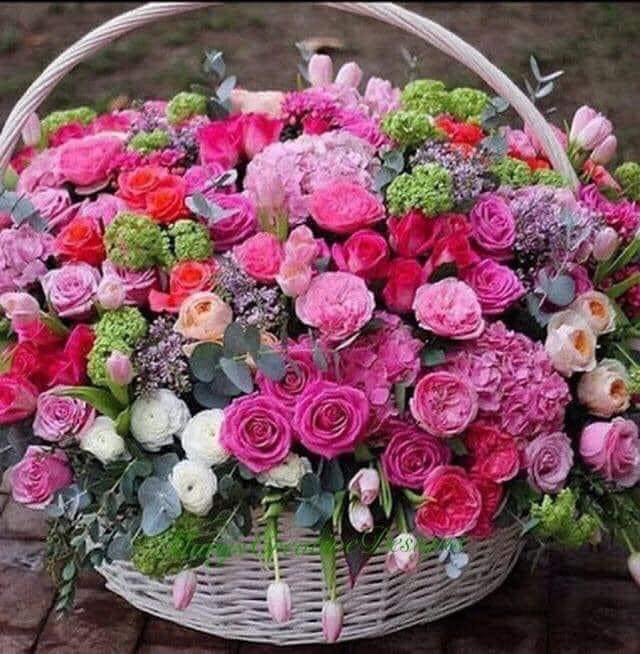 161275367_2866445506926581_8239298257958046793_n