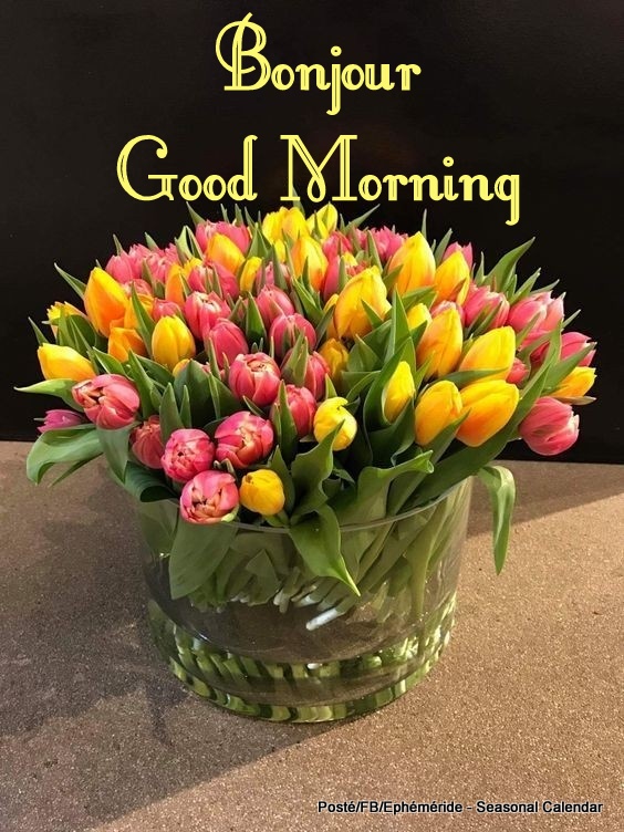 161297099_4050121378371261_2181257874689182874_n