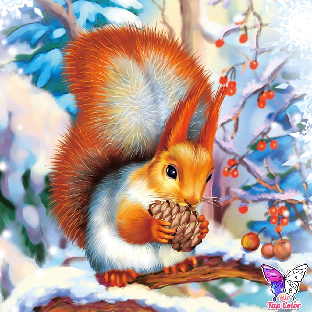 162084773_5255090041230535_6225847379722026830_o