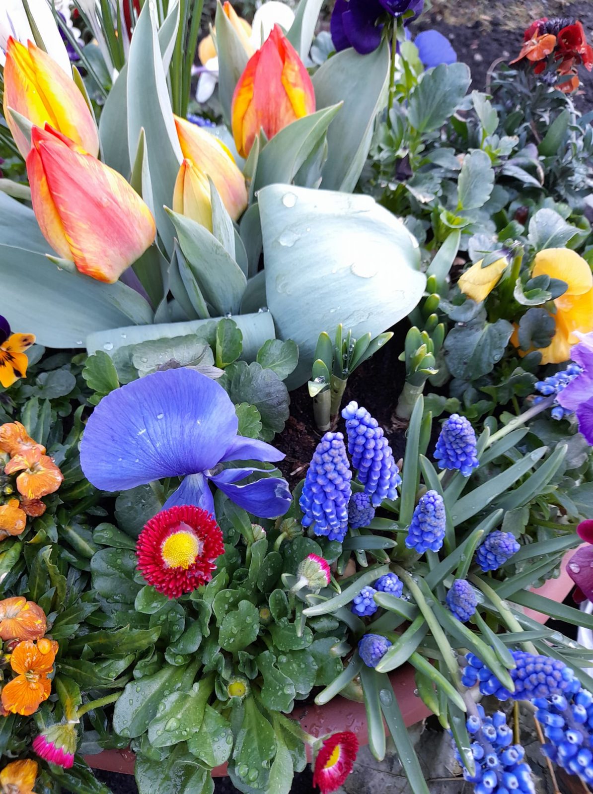 162571314_114754330638248_2513592396542628611_o