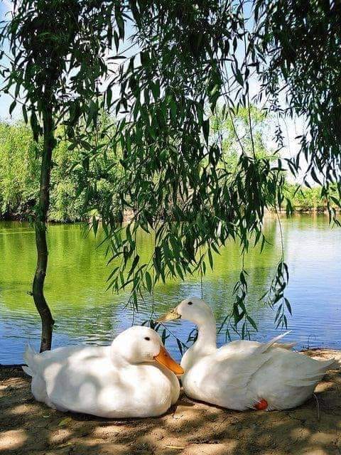 162598315_845345286048137_4833183468876253625_n (1)