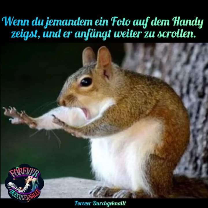 162750087_1189026468218324_3425810935462185906_n