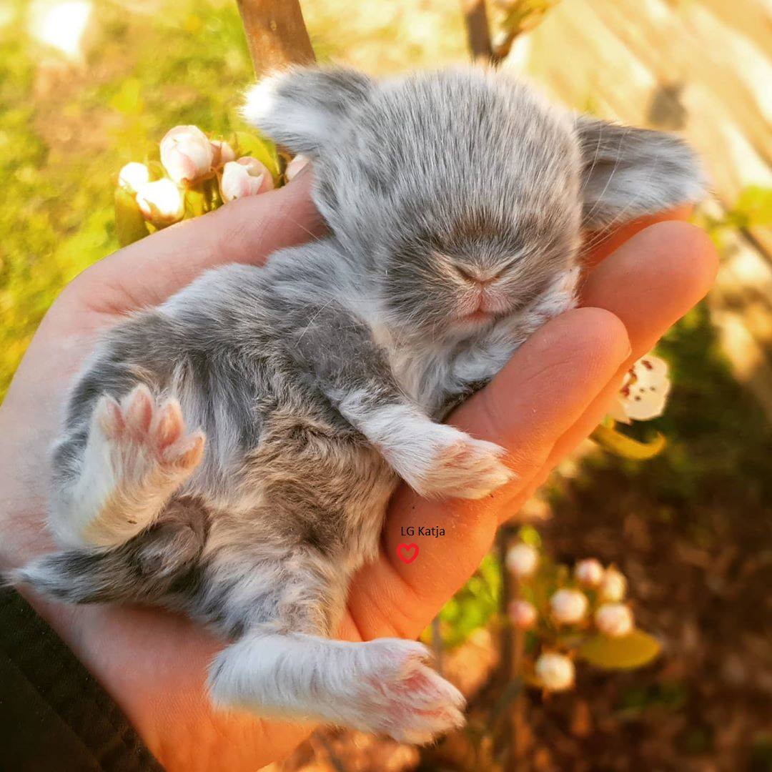 163017294_3833485486730058_7303013783937269308_o (1)