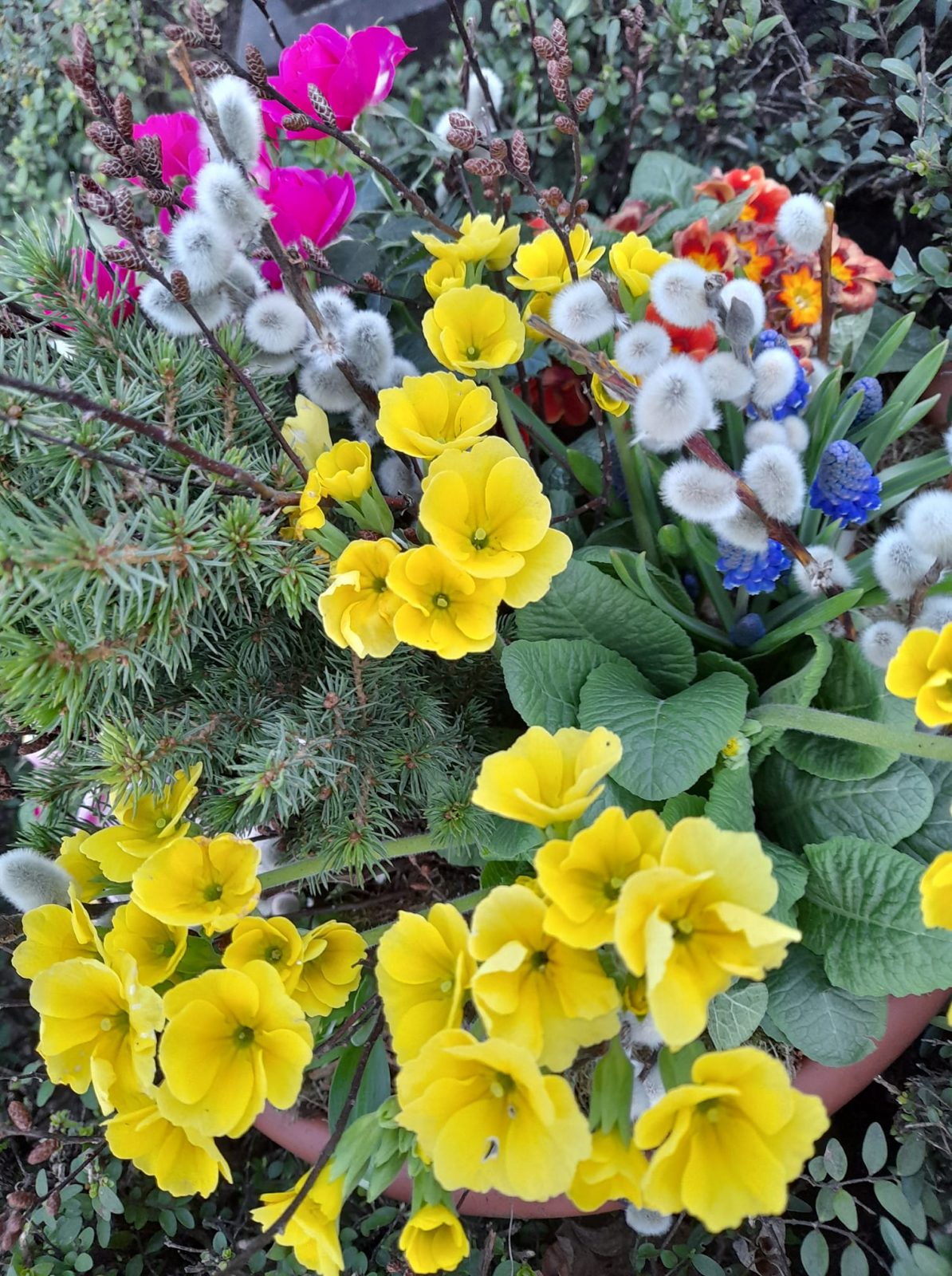 163076930_115125383934476_3488888577501914182_o