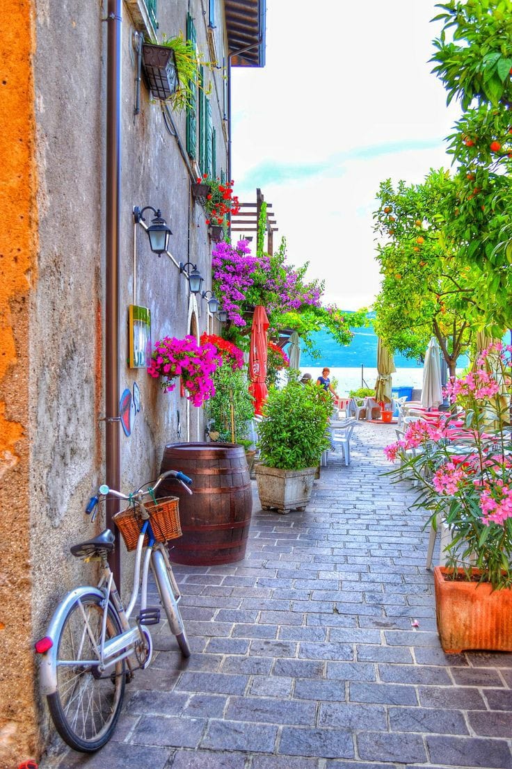 163197530_285201966332005_5946505326976243435_o