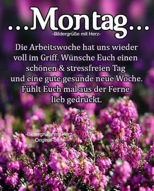 163304465_1160928721032944_885365048944107838_n