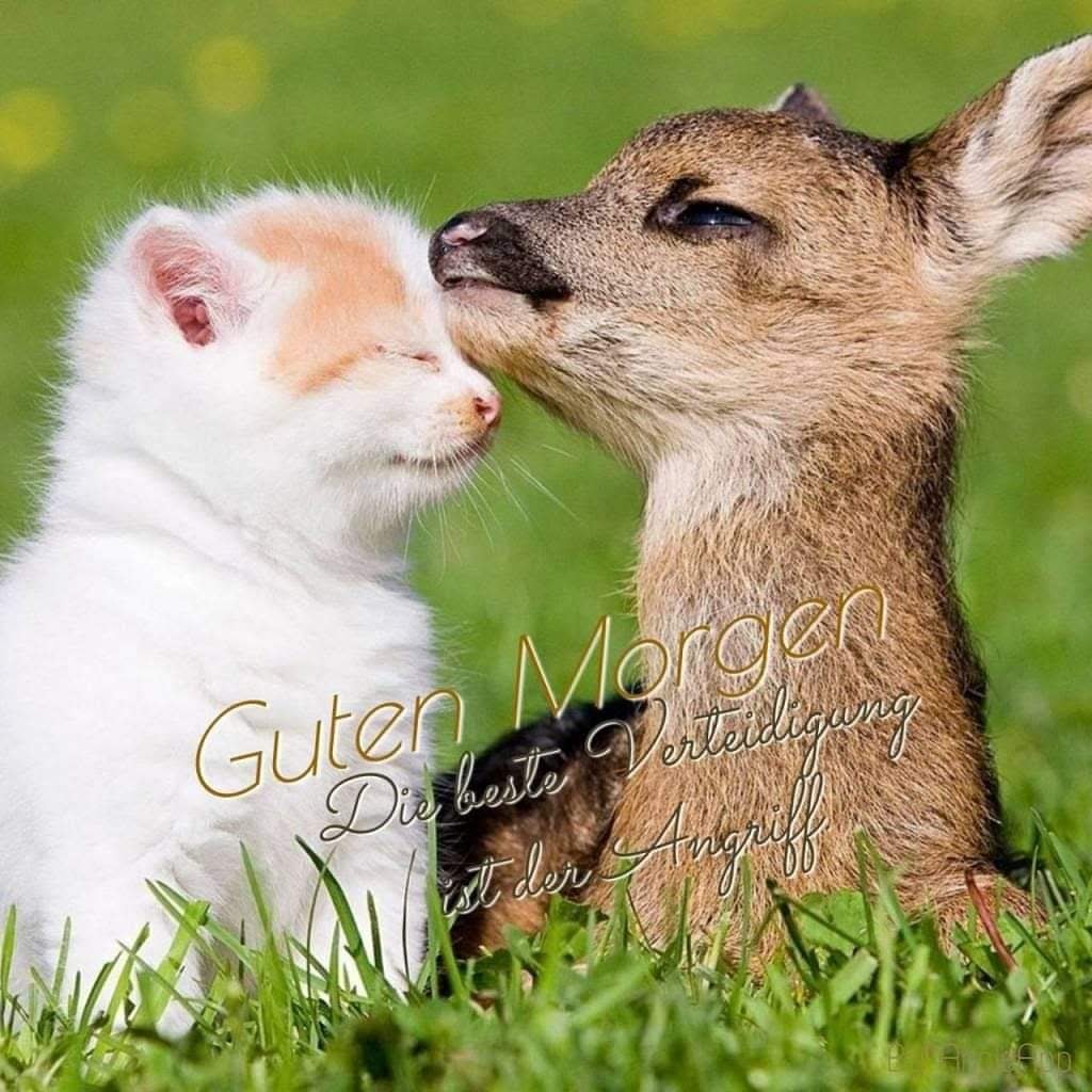 163633011_476154780090468_6143119778295265552_o