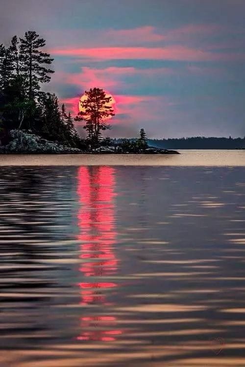 163642247_1190279438093027_6480917534897937219_n