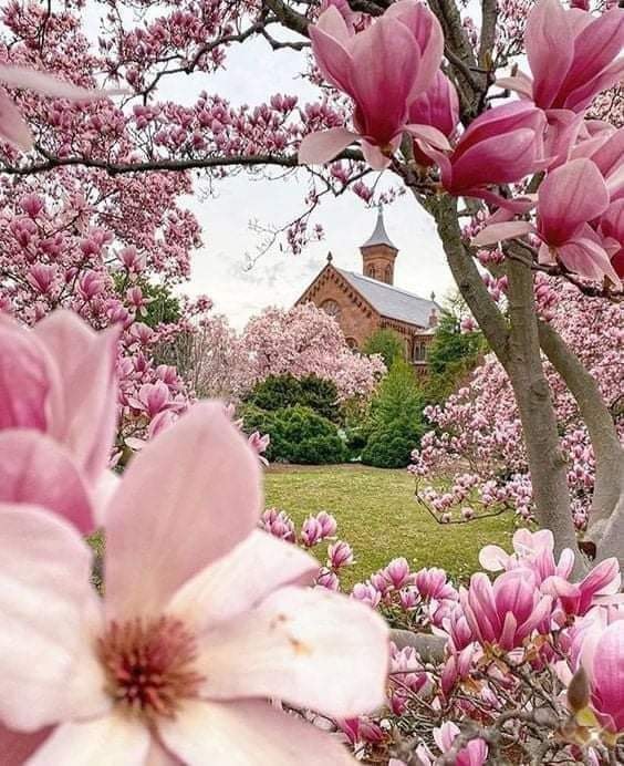 164625373_3787992581255758_3814702998687978349_n