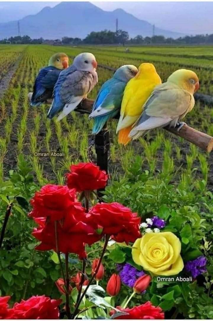 164626748_2891537817800695_6015701503133506087_o