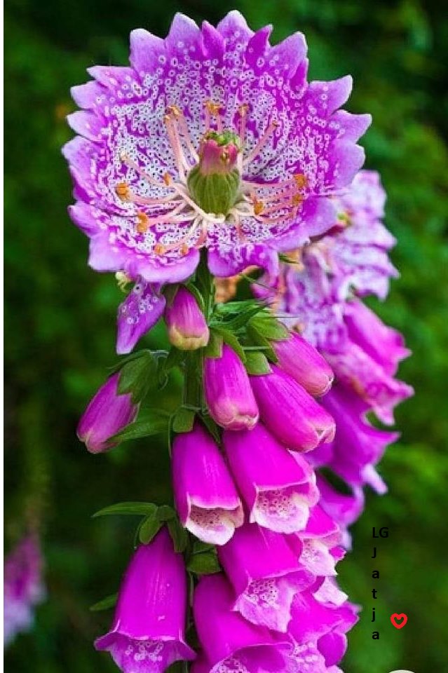 164892360_3845885065490100_6991818623376379067_n