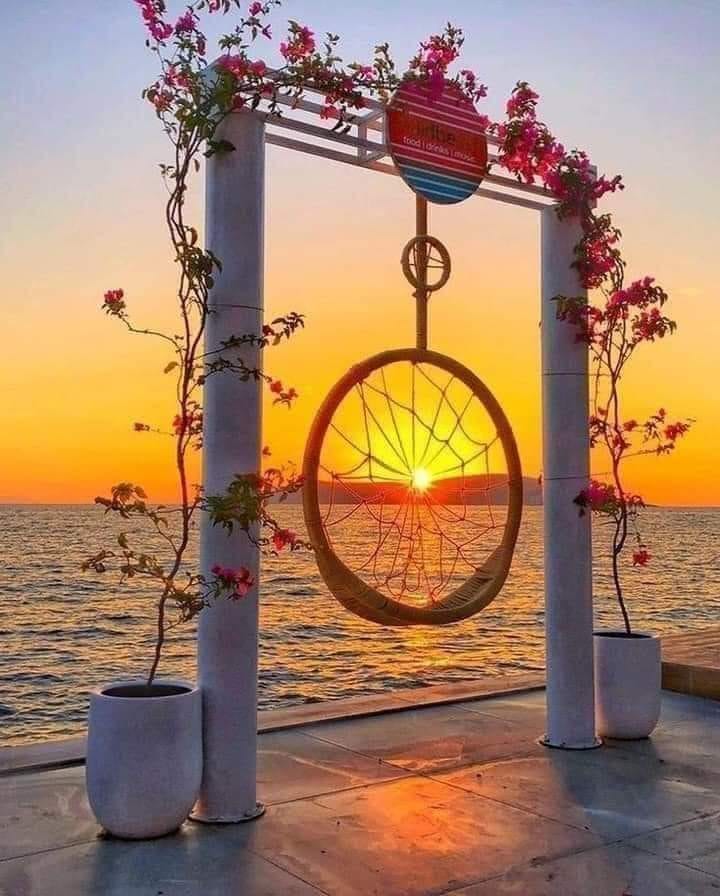 165664693_850065102242822_1453948430463741515_n