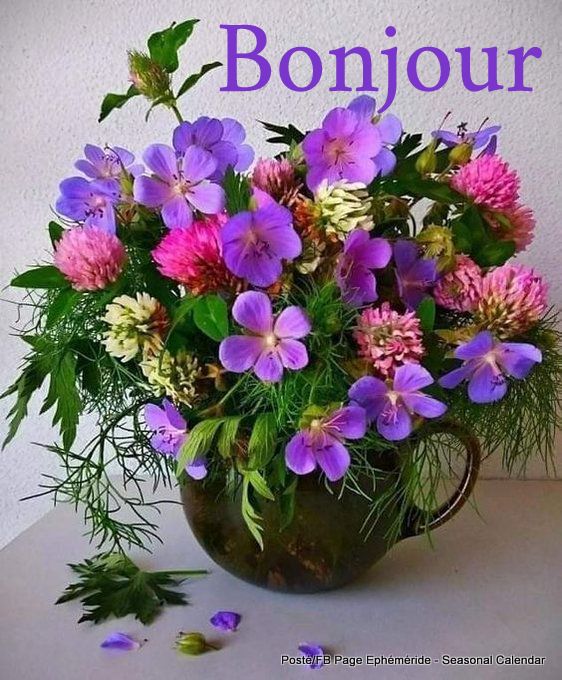 165759696_4079135435469855_746290095914588942_n