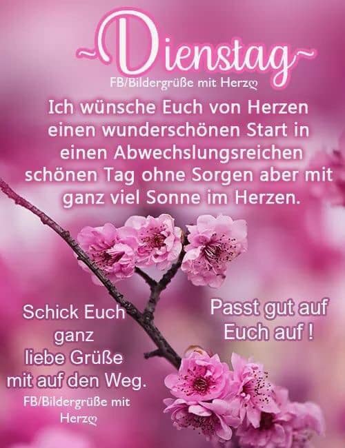 166191860_3953639188055452_2739870775747896428_n