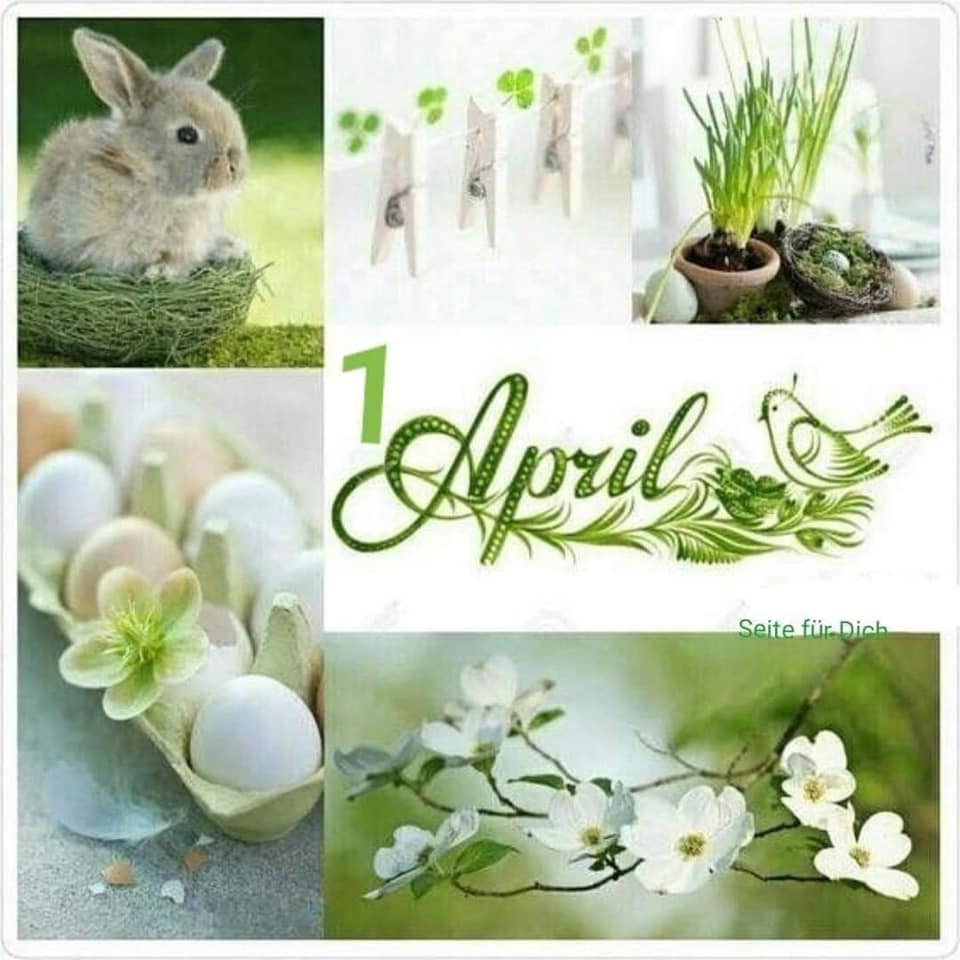 167225726_2797699067151913_5232281243617207780_n