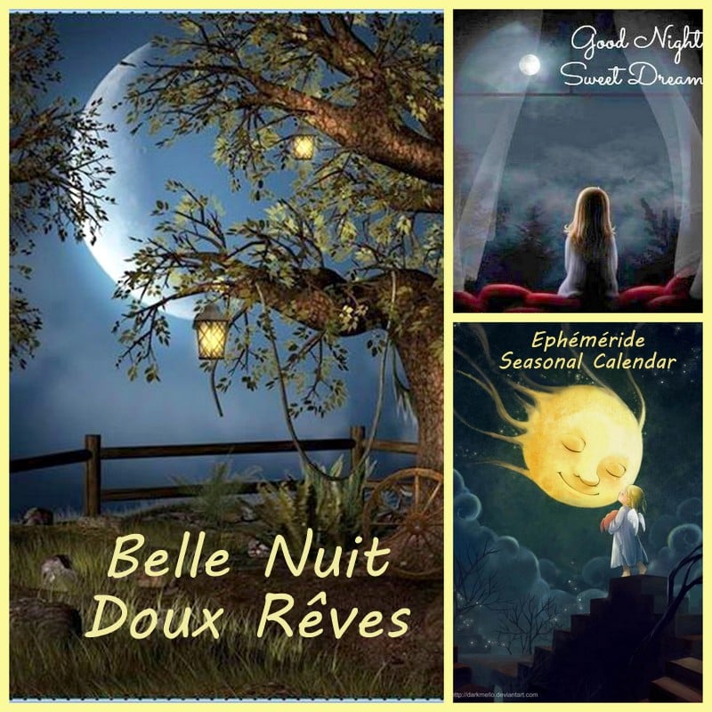 167756949_4100549936661738_2383748923322541666_n