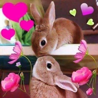 167874185_1197103437410627_8388758382798262626_n