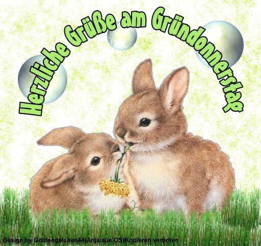 168173848_10219675456665725_2031687952620285912_n (1)