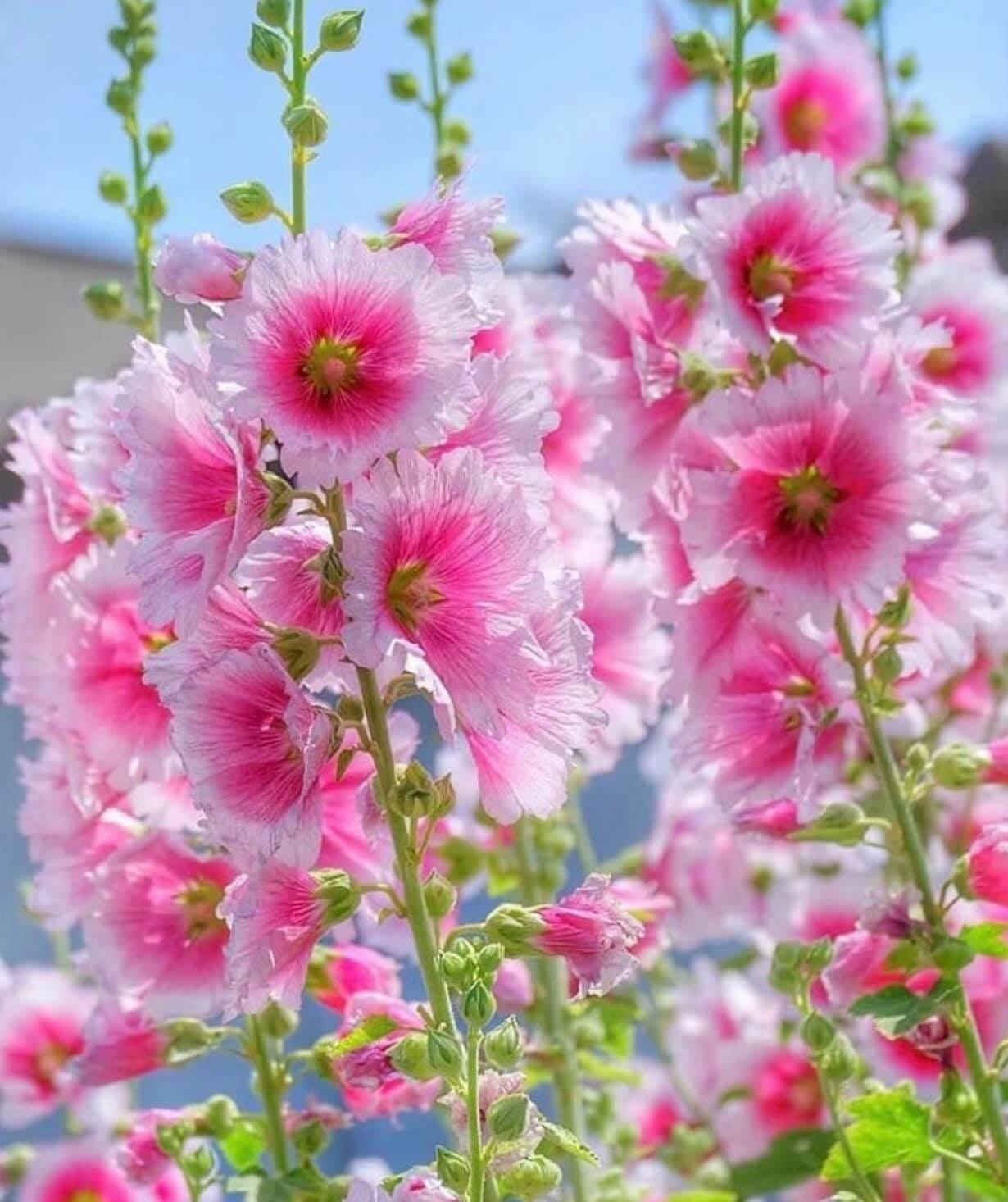 168394314_1855311581284379_7991549390488235964_n