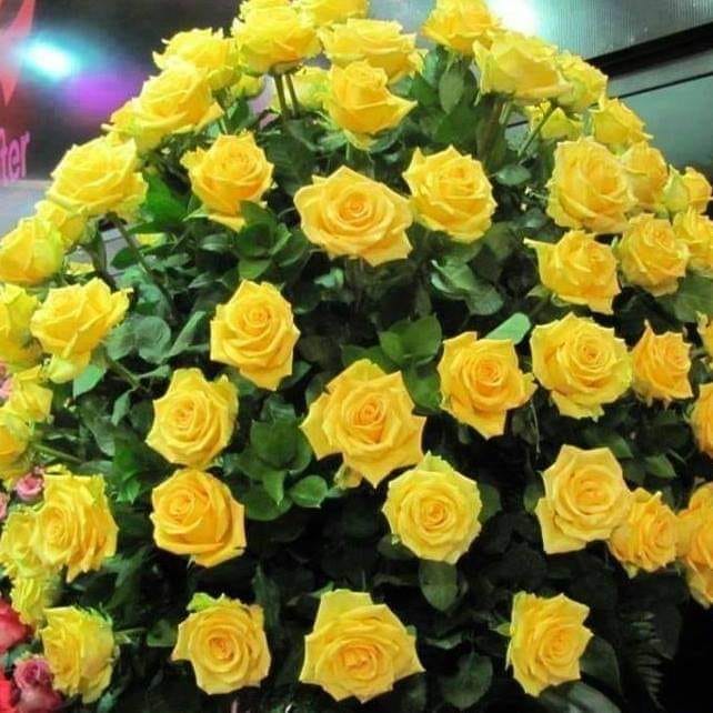 168833637_1147895205653326_1822124494043995425_n