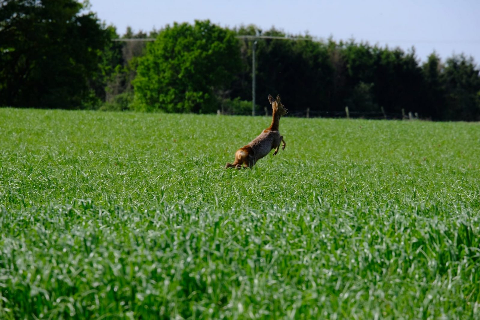 169391509_893930254786506_2270951464451164533_n