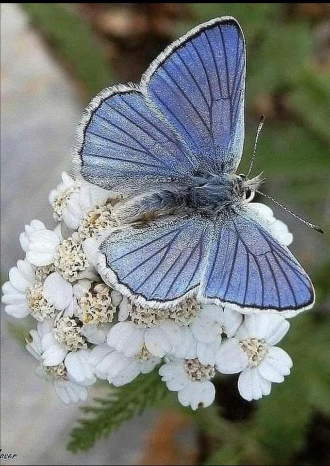 169525404_10219694334777666_2861269634958172576_n