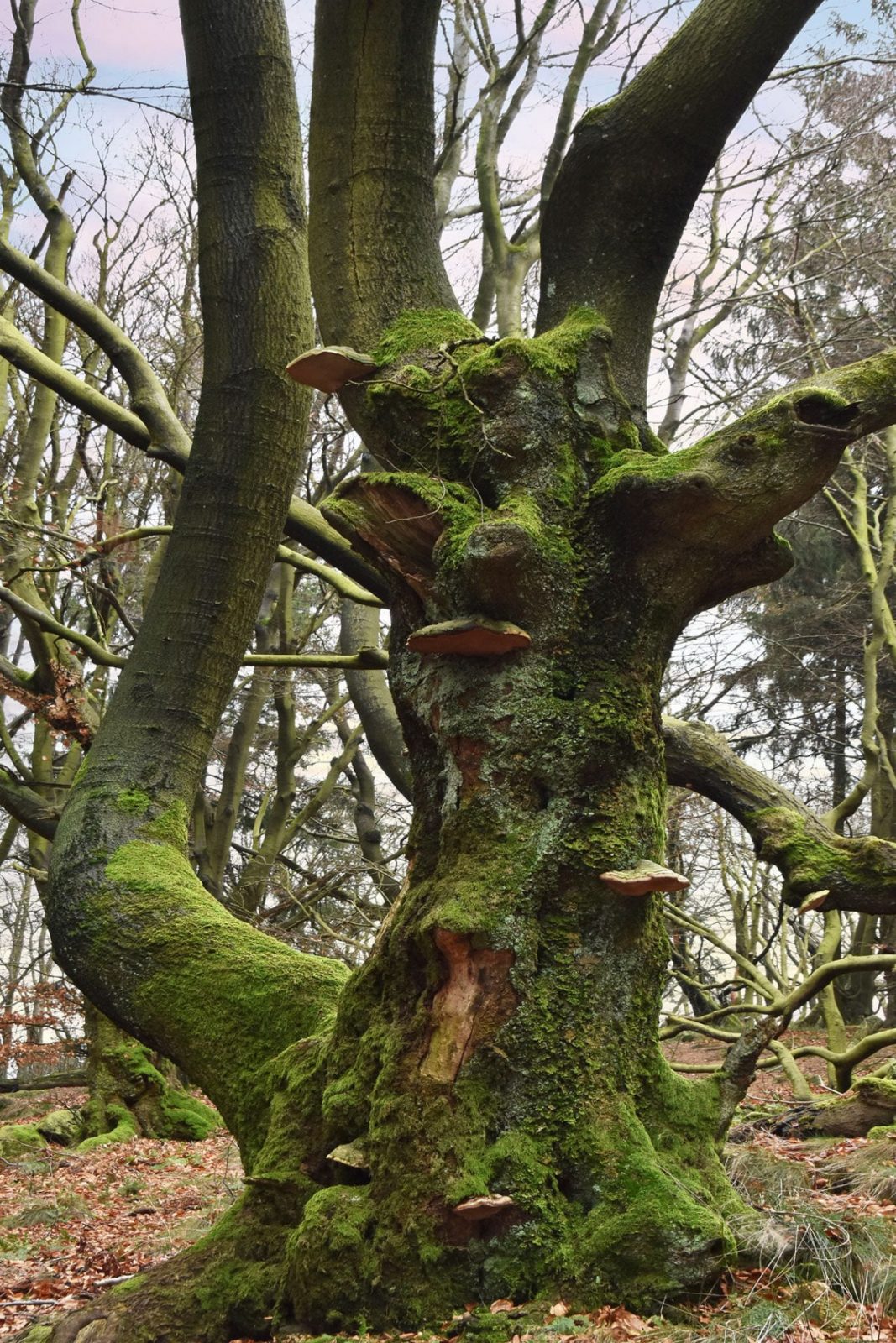 169621022_139343581524051_418021882259159289_n