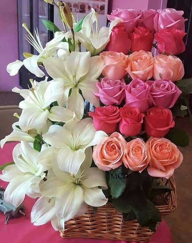 169779413_2879859982251800_3451600885169506677_n