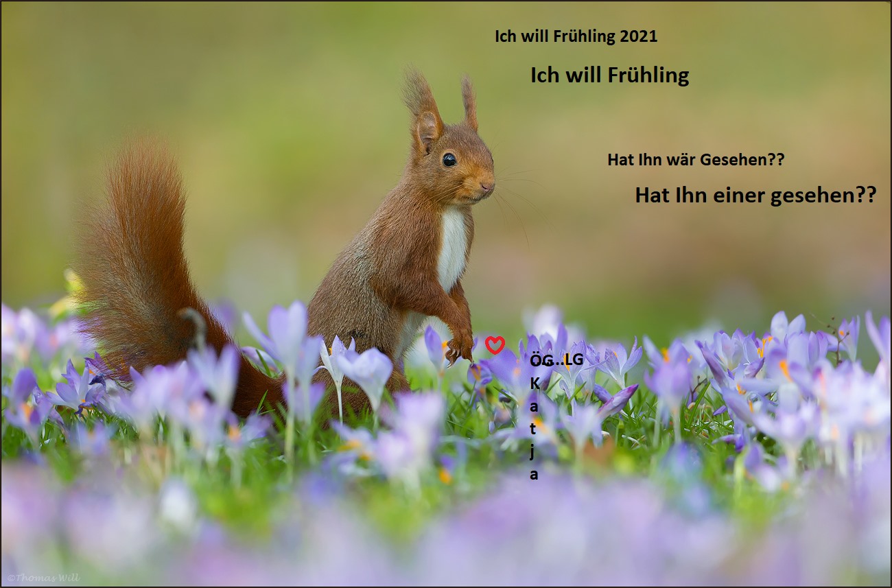 169871023_3886910484720891_3491481403422882787_n.jpg FRÜHLING