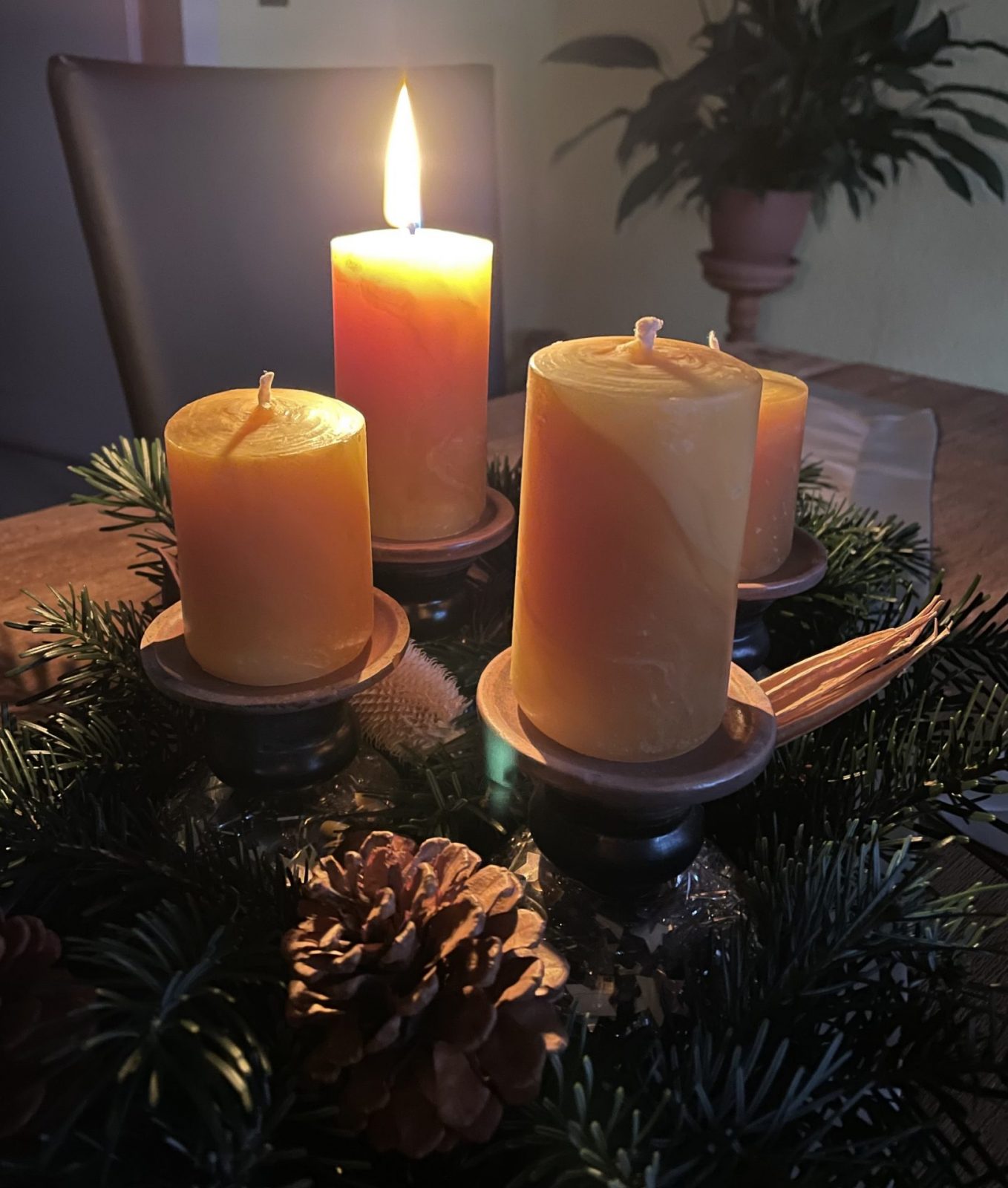 16D3E366-7116-4443-A5A7-B027E7B3EB02