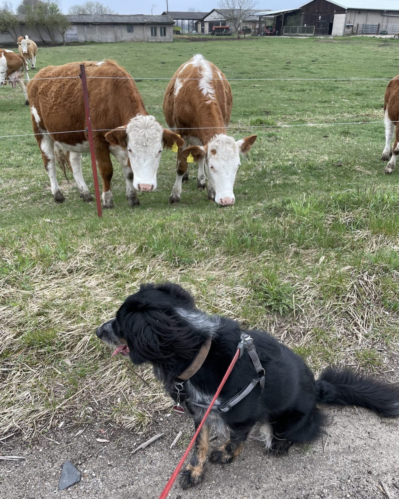 16DB86EB-6D06-47C0-9F84-60395B3BA3C1