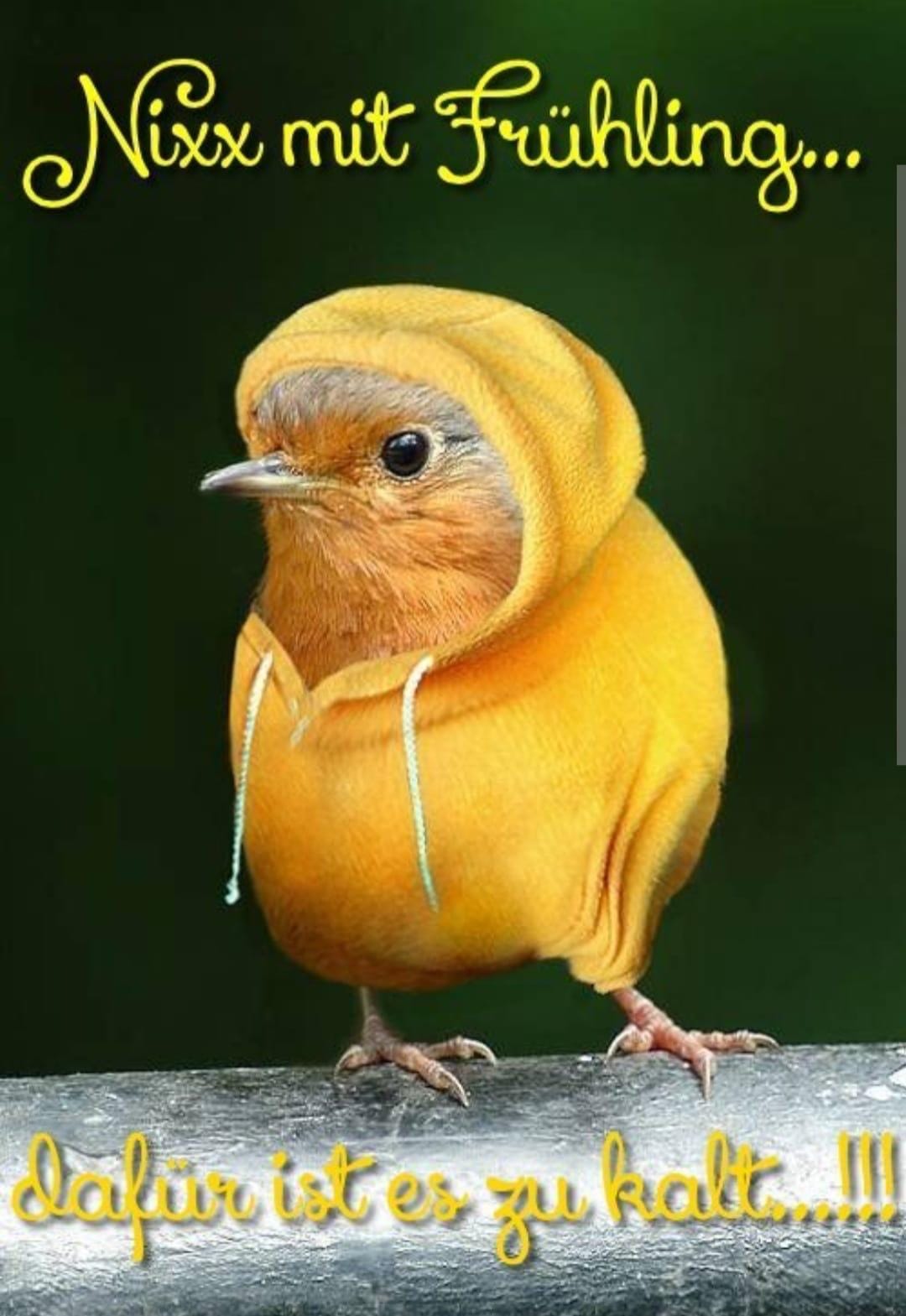 170313055_1935066493325228_83083448794573432_n (1)