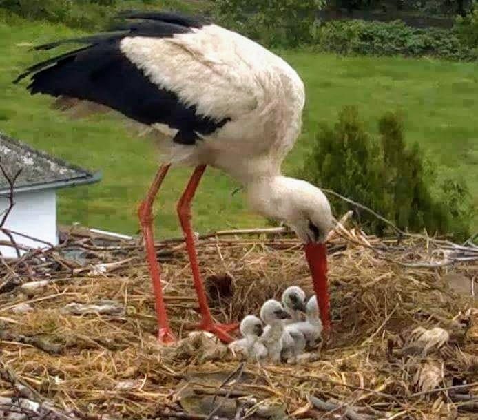 170549622_10219496457104371_4258872397842433058_n