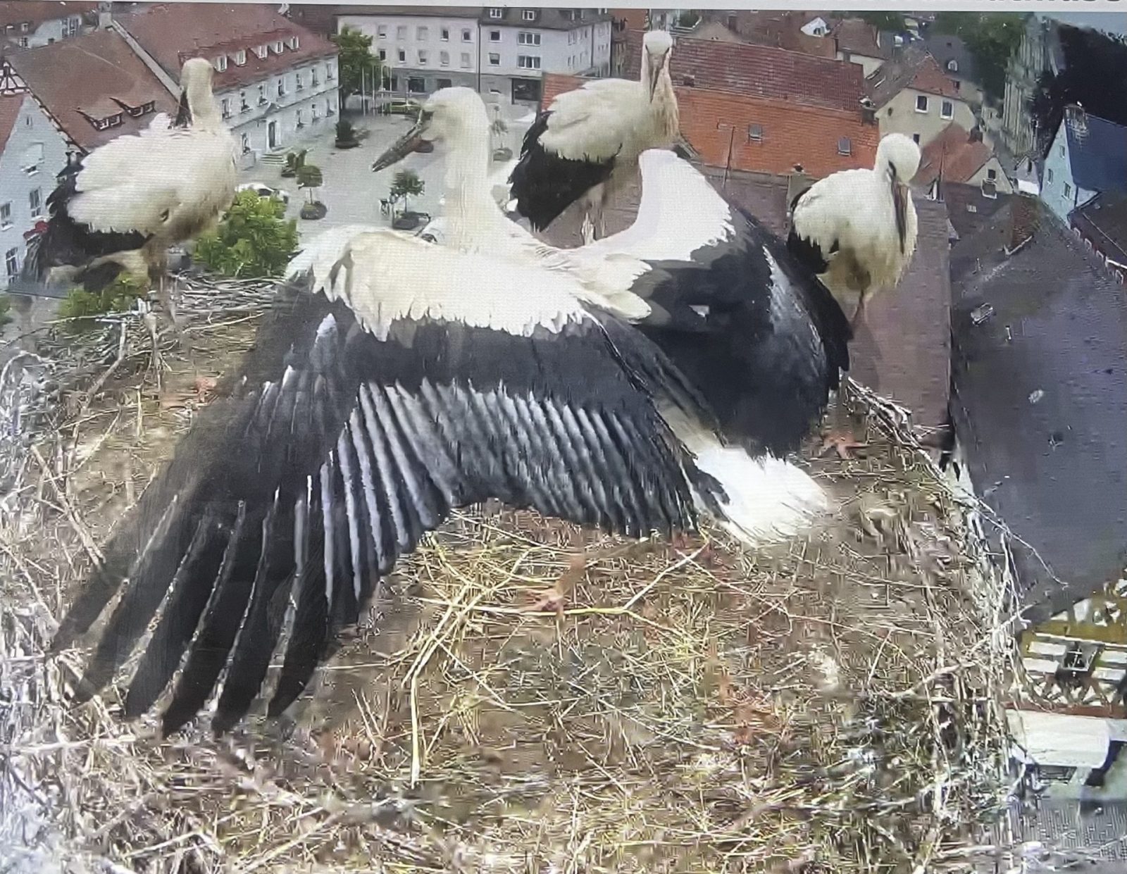 1705D6DA-8AEF-46BA-AC23-7B0DAA342908