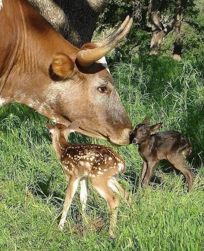 170680403_1201971110257193_3925997211508242262_n