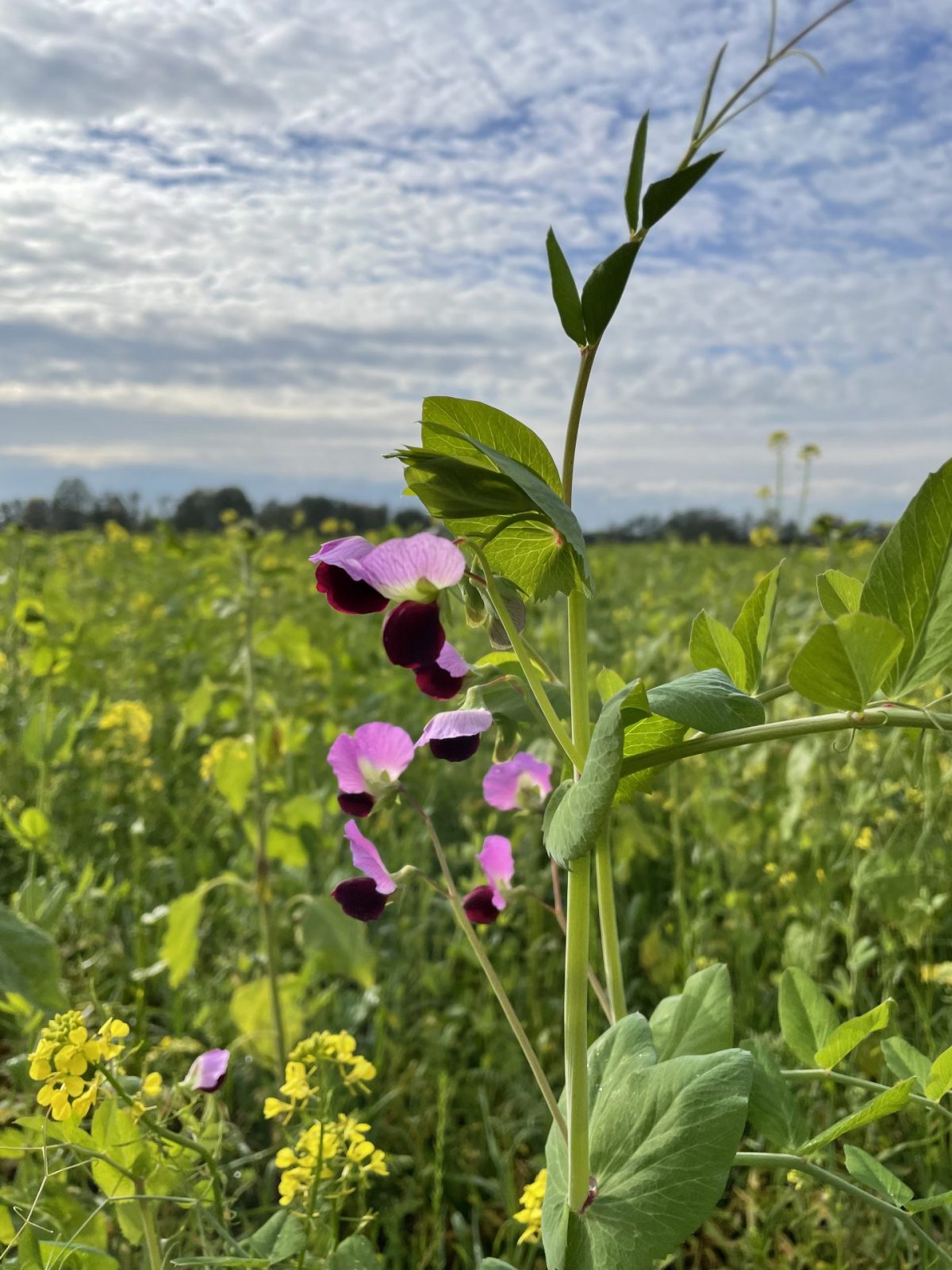 170EAC57-D70D-4649-9616-58F59A4837EF