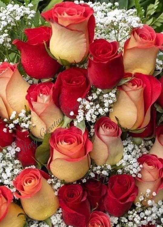 171868020_2884076478496817_8483052594447448490_n