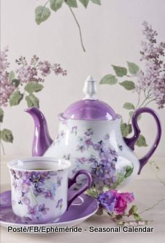 171957474_4129811750402223_5535123422827688433_n