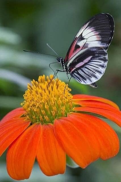 172183405_1167285590379837_6049394860569597986_n