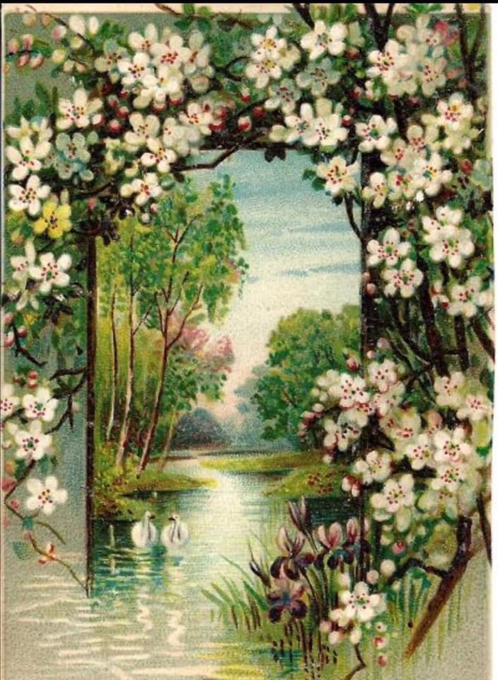 172465400_265913511872835_6968002372663689968_n