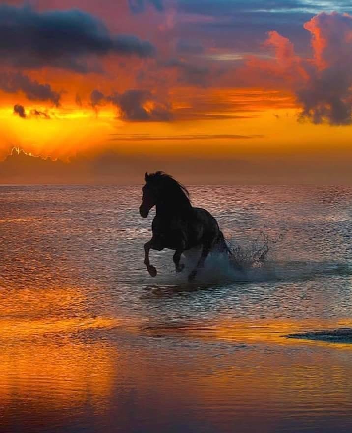 172702309_472642860750586_4001789566438700109_n (1)