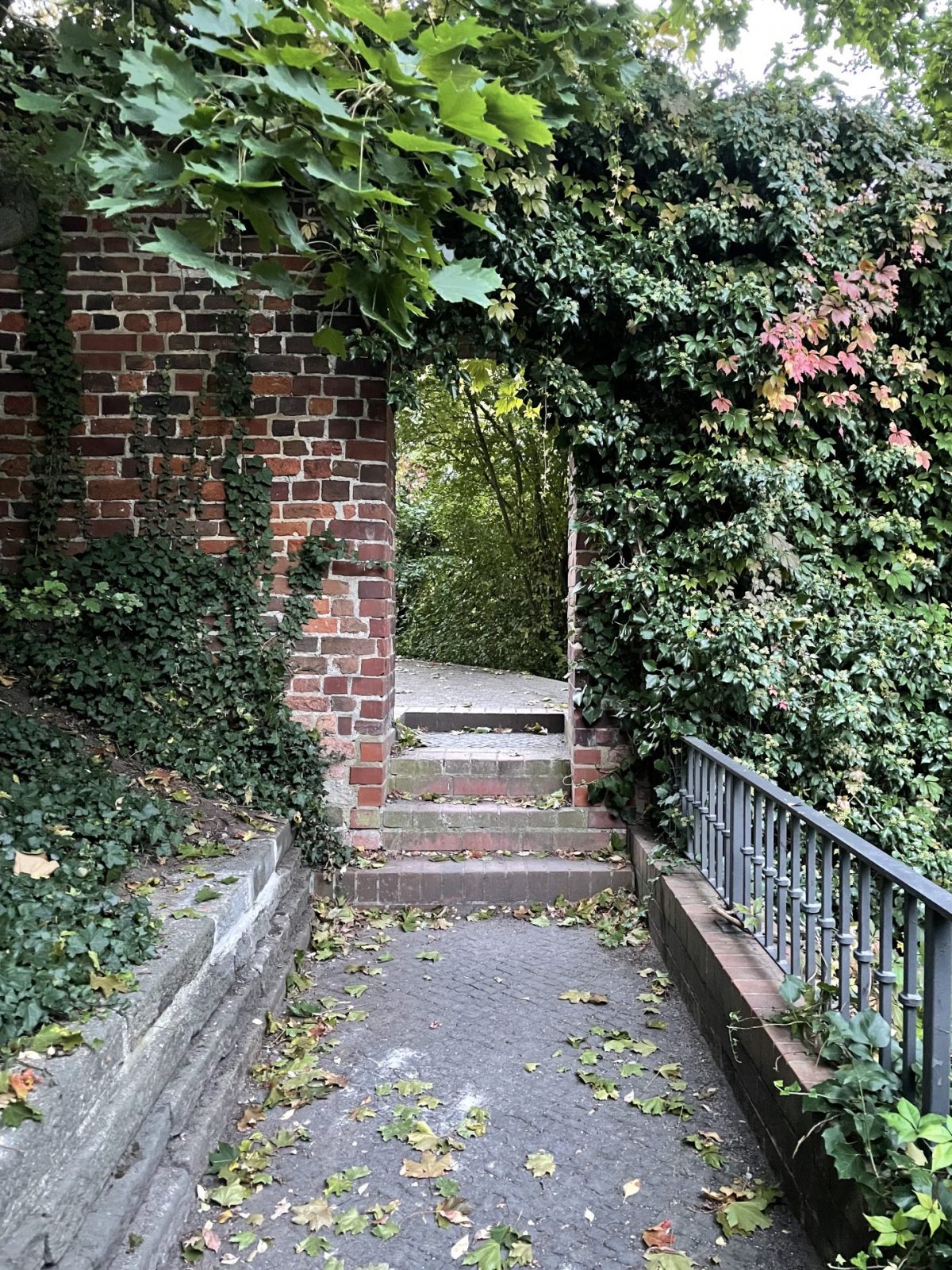 172B5DA6-B9D7-49C4-BBBE-398E5B2BE9A7