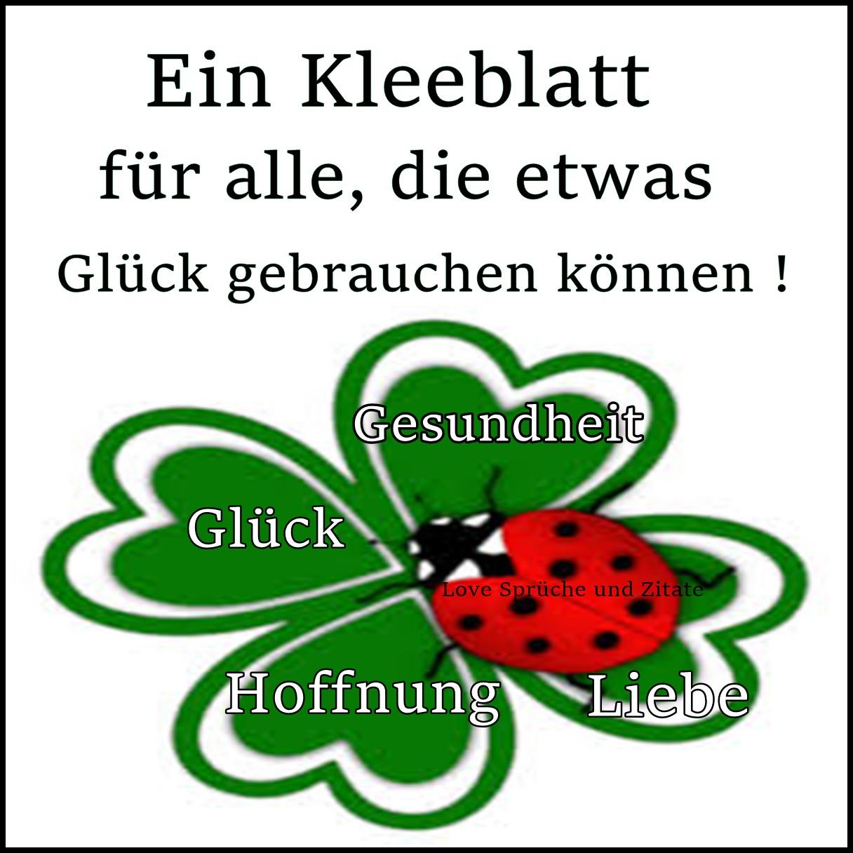 17388844_185139978658836_7283500266029473893_o